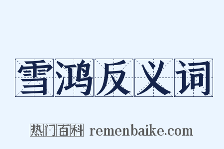 雪鸿反义词是什么意思的图片